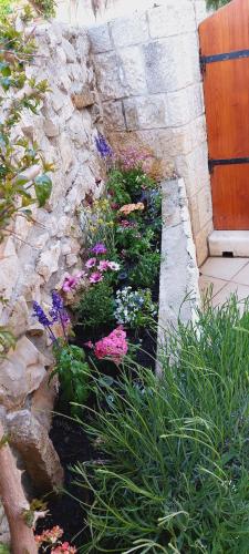 a garden with colorful flowers and a stone wall at Apartments Viva in Korčula