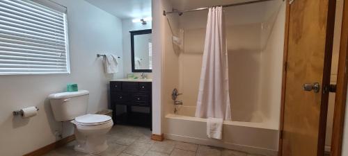 a bathroom with a toilet and a shower and a sink at Driftin Sands Motel in Kill Devil Hills