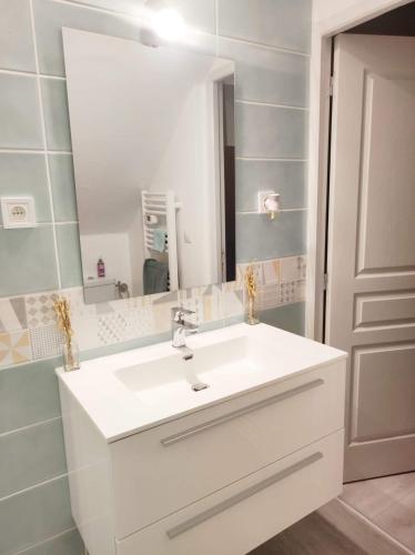 une salle de bain avec un lavabo blanc et un miroir dans l'établissement Zoologîte, à Saint-Aignan