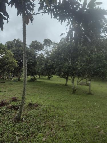 Zahrada ubytování Finca exclusividad familiar o grupo de amigos capacidad hasta 12 personas calles en placa huella, caminata ecológica