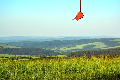 a kite flying in the sky over a field of grass at Niedźwiedzia Dolina in Przybyszów