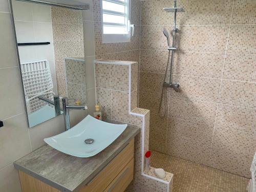 a bathroom with a sink and a shower at GITES CASUARINA in Sainte-Rose