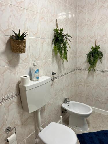 a bathroom with a toilet and plants on the wall at The Chill(e) in Lisbon