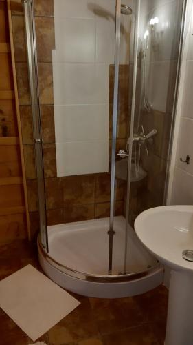 a shower in a bathroom with a toilet and a sink at Chata Kozica Kiry in Kościelisko