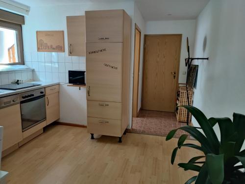 Apartment Entegast في شوبفهايم: مطبخ مع خزانة طويلة في غرفة