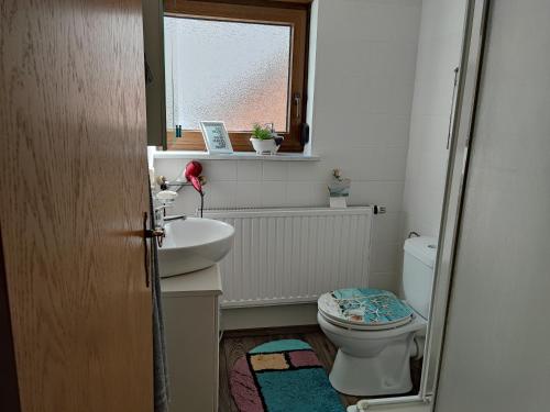 La salle de bains est pourvue de toilettes, d'un lavabo et d'une fenêtre. dans l'établissement Apartment Entegast, à Schopfheim