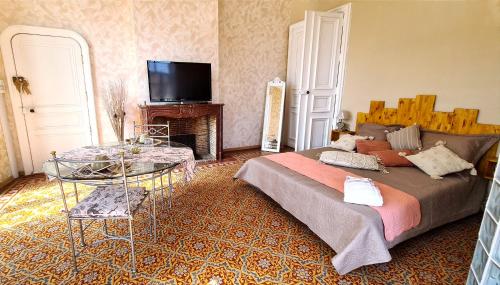 FlorensacにあるChez Dédou et Madouのベッドルーム(ベッド1台、テレビ、暖炉付)