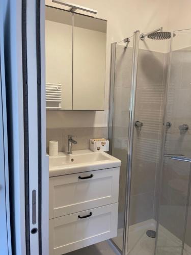 a bathroom with a sink and a shower at LaCasadiGuendy in Bolzano