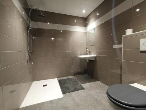 GétignéにあるVillage de Gîtes du Moulin Neufのシャワー、トイレ、洗面台を備えたバスルーム