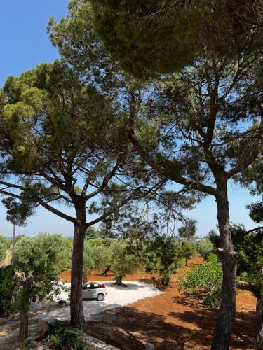 Masseria Concorrano – Photos 4