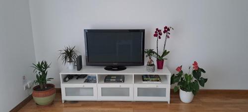 - une télévision assise sur un centre de divertissement blanc avec des plantes dans l'établissement Appartement lumineux T3 avec jardin privatif à Hendaye - Parking et wif gratuit, à Hendaye
