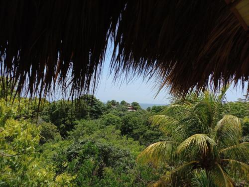 a view of the jungle from a straw hut at Magdalena Beach House in Los Naranjos