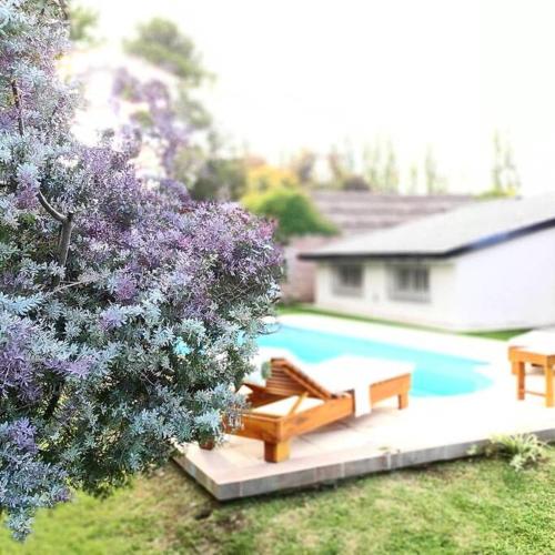 a yard with a pool and two benches and a tree at Casa completa en el corazón de chacras in Ciudad Lujan de Cuyo