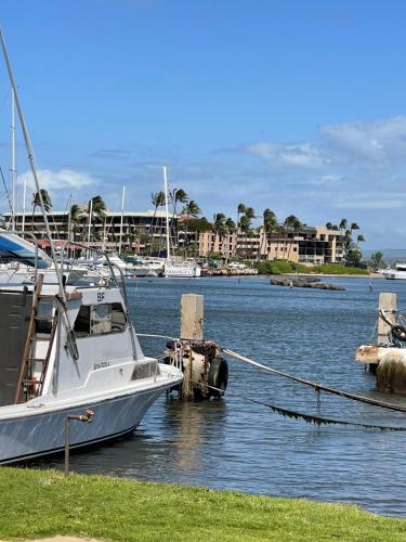 a boat is docked at a dock in the water at This place is different!! Award winning! Oceanfront, View View! in Wailuku