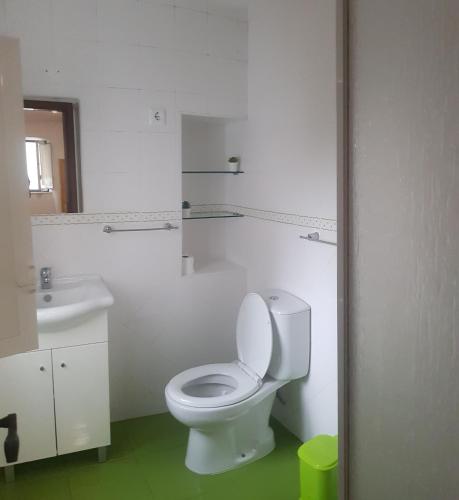 a bathroom with a white toilet and a sink at Casinha da Peneda in Góis