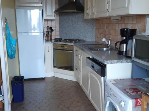 Il comprend une cuisine équipée d'un réfrigérateur et d'une cuisinière. four supérieur dans l'établissement Les Deux Alpes - Appartement 6 pers, balcon, proche pistes, wifi - FR-1-516-181, à Les Deux Alpes