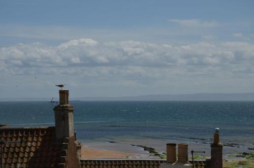 a bird sitting on top of a building near the ocean at Tall Ship - Three-bedroom coastal house with sea views in Anstruther