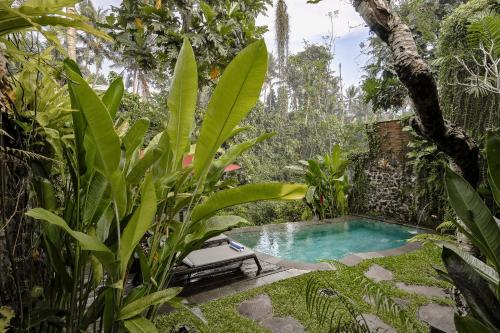 Bubu Mesari Ubud Villa – Photos 2