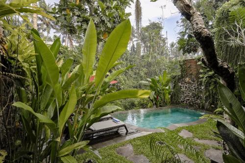 a pool in the middle of a garden with plants at Bubu Mesari Ubud Villa in Ubud
