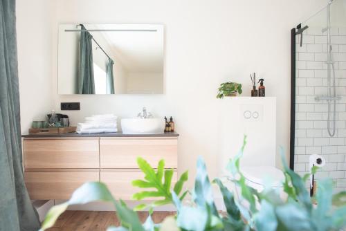 a bathroom with a sink and a mirror at Cosy Guestroom Bruges in Bruges