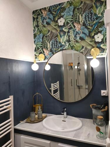 une salle de bain avec un lavabo et un miroir dans l'établissement La petite Arlésienne - Charmante maison de ville, à Arles