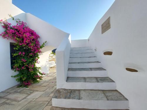 Gallery image of Ursa Major Suites in Tinos Town