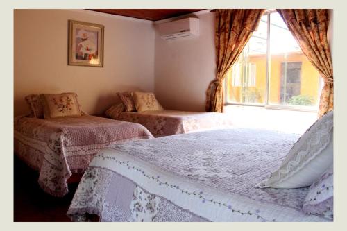 1 Schlafzimmer mit 2 Betten und einem Fenster in der Unterkunft Economy Hostel Tierra Noble in Santa Cruz