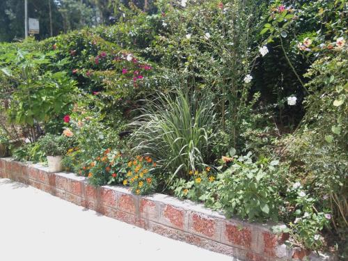 un giardino con fiori e piante su un muro di mattoni di Dreamwood FarmStay a Hassan