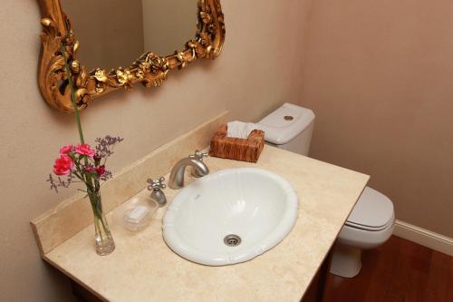 a bathroom with a sink and a mirror and a toilet at 248 Finisterra in Buenos Aires