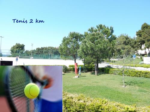 Εγκαταστάσεις για τένις ή/και σκουός στο Hotel Sunce ή εκεί κοντά