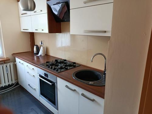 A cozinha ou cozinha compacta de Apartament w Krynicy Zdrój