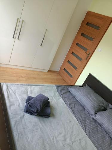 Cama ou camas em um quarto em Apartament w Krynicy Zdrój