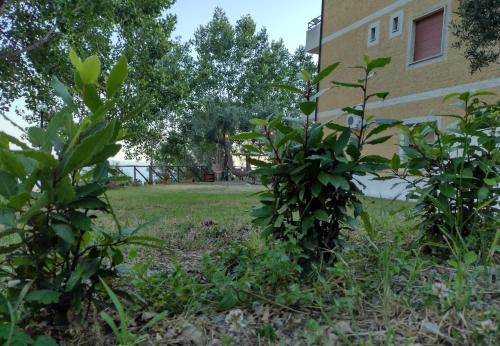 Foto dalla galleria di Il Casale Soffio di Terra B&B a Maierà