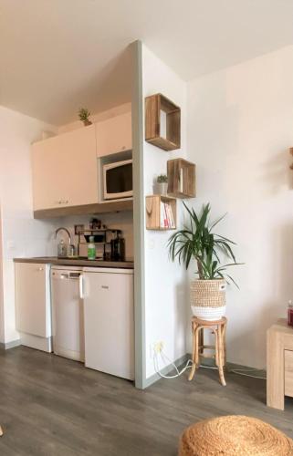 Dapur atau dapur kecil di TY CAÏRN - PORTE DU CROUESTY