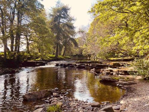 a river in a park with rocks and trees at Cosy 1-bedroom cottage with indoor open fireplace in Westgate