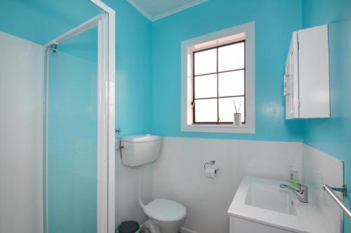 a blue bathroom with a toilet and a sink at Tyne and Tides in Oamaru
