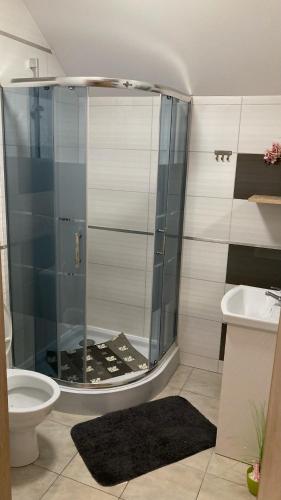 a bathroom with a shower with a toilet and a sink at Pokoje Grey in Okuninka