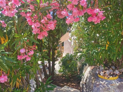 Κήπος έξω από το Guest House Casa Cassien