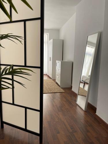 a room with mirrors and a potted plant in it at IRUA APARTAMENTOS in Ronda