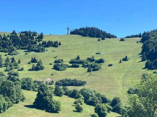 a green field with trees and a tower on a hill at Chata pri jaskyni Bystrá in Bystrá