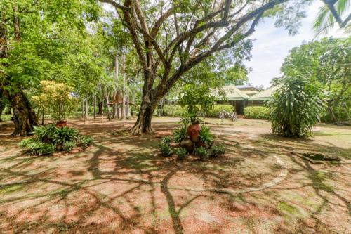 Finca Monte Claro – Photos 3