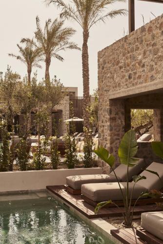 a swimming pool in a resort with palm trees at Theros All Suite Hotel - Adults Only in Kos Town
