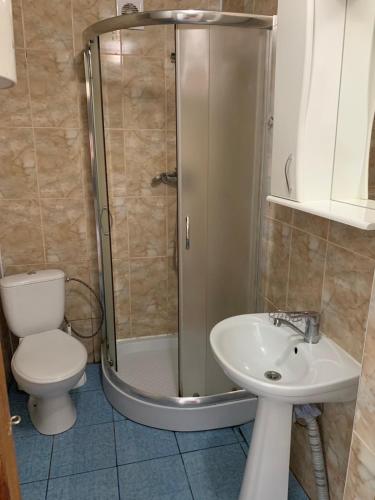 a bathroom with a shower and a toilet and a sink at Затока 1 in Svityazʼ