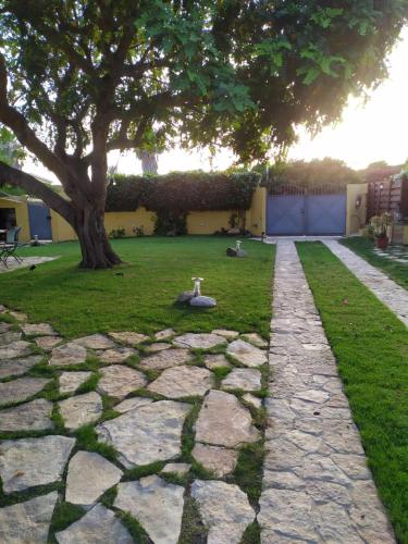La casa di vetro – Photos 3