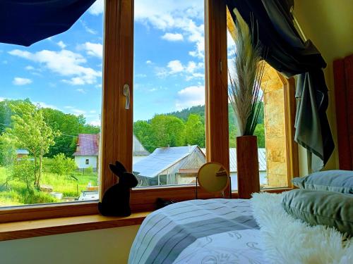 a black cat sitting on a bed looking out a window at Lux Houses w DOMKU tylko DWA APARTAMENTYz jacuzzi zewnętrznym in Groń