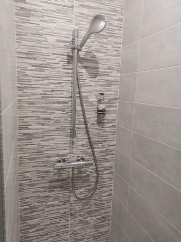 a shower with a shower head in a bathroom at Logis Le Relais du Chapeau Rouge in Saint Loup Lamaire