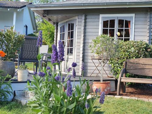 Schmallenberger Auszeit في شمالنبرغ: منزل صغير مع الزهور الأرجوانية في الفناء