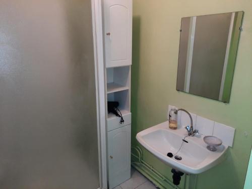 ein Bad mit einem Waschbecken und einem Spiegel in der Unterkunft Le Cerizay Gîte n°1 in Cerizay
