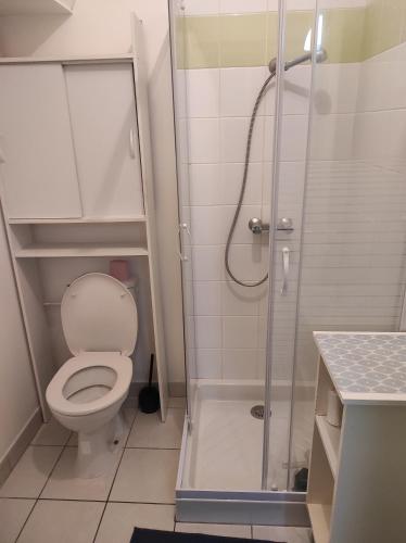 a bathroom with a toilet and a shower at T1 centre ville Aubenas in Aubenas