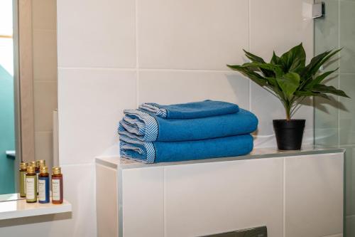 Foto dalla galleria di Palms Apartments Budapest a Budapest